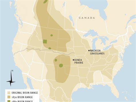 Bison Map – Maps, Signage & Graphic Design