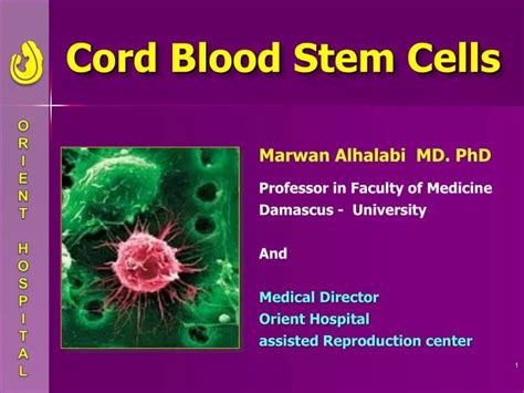 PPT - Cord Blood Stem Cells PowerPoint Presentation, free download - ID ...