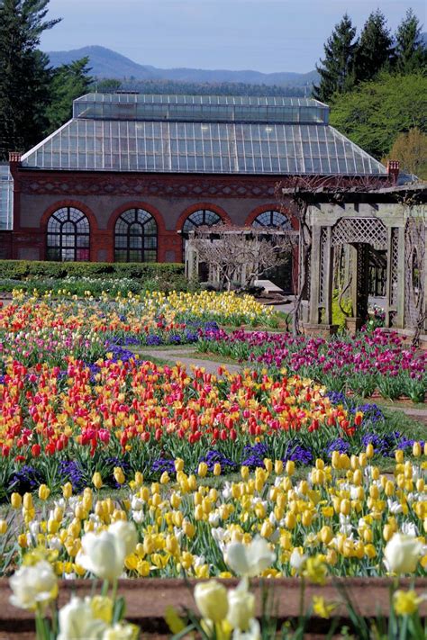 Biltmore Estate Gardens In March - Beautiful Insanity