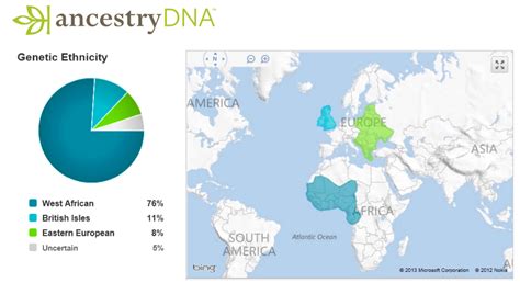 What Does a DNA Report Look Like and How to Read It