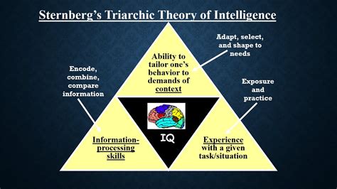 Theories of Intelligence ( #Educational #Psychology ) Part I - YouTube