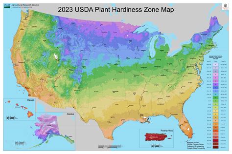 Usda Plant Hardiness Zones Map 2024-23 - Elsy Eleonore