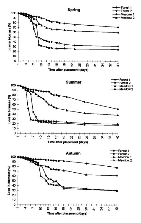 Rate of carcass decomposition expressed as a percentage of initial ...