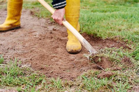 How to Remove Grass Fast and Kill Your Lawn for a Garden Refresh