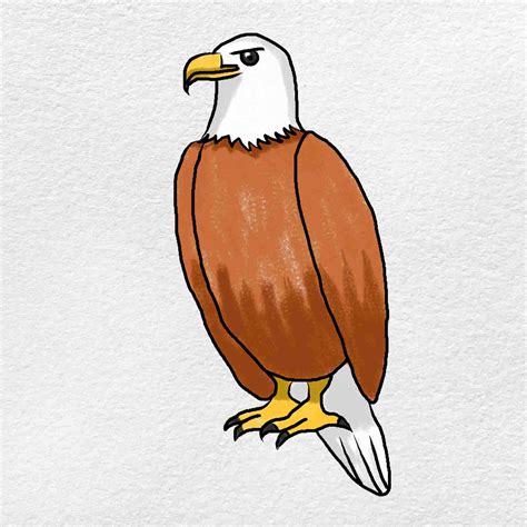 How to Draw An Eagle Easy - HelloArtsy