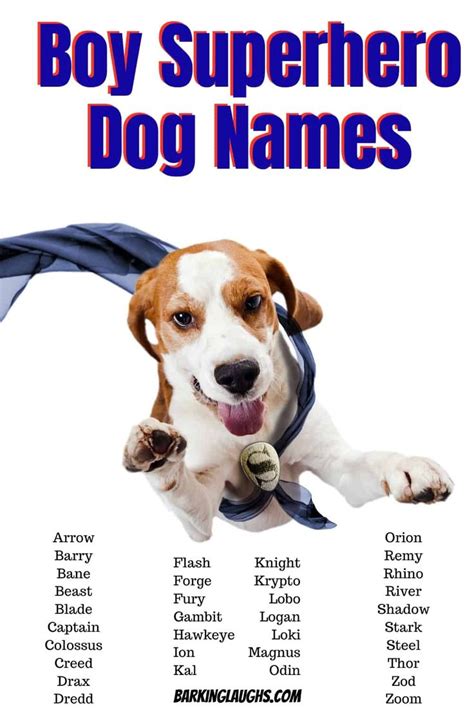 male dog names and meanings