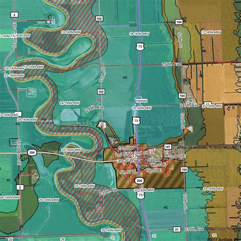 FEMA Flood Zone & FIRM Panels