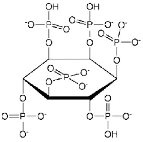 4 Structure of phytase. | Download Scientific Diagram