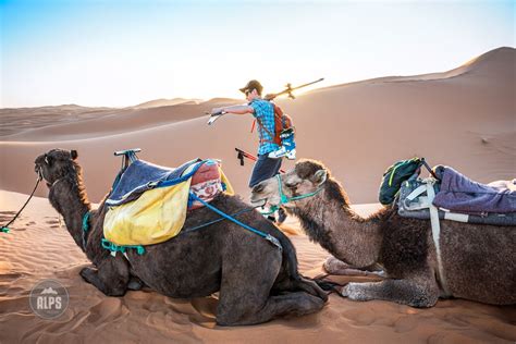 Desert Sand Dune Skiing Morocco - ALPSinsight