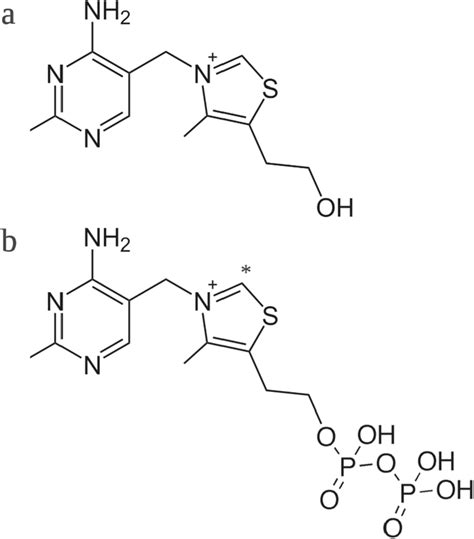 Chemical structure of a thiamine and b thiamine pyrophosphate. A single ...