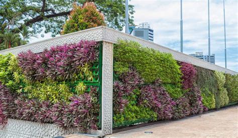 22 garden wall designs to get inspired | Housing News