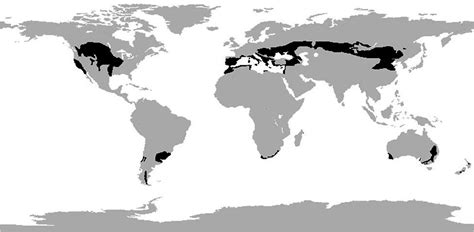 Temperate Grassland Map