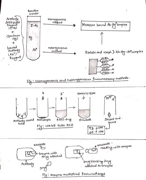 Immunoassay: Principle and Methods - Online Biology Notes