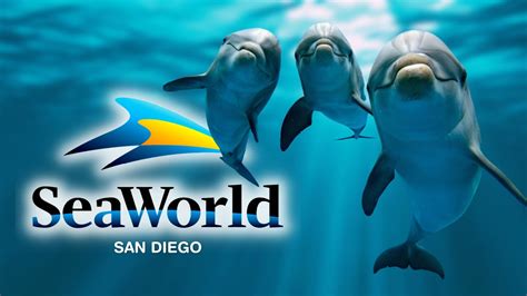 SeaWorld San Diego's Past, Present and Future - YouTube