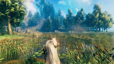 How to find fish in Valheim - Gamepur