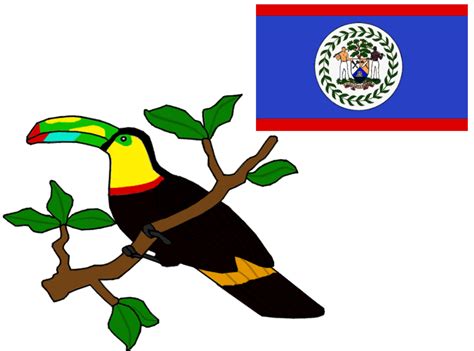 Belize - Keel-Billed Toucan by roan5 on DeviantArt