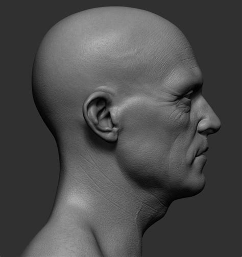 3D realistic head model - TurboSquid 1314732