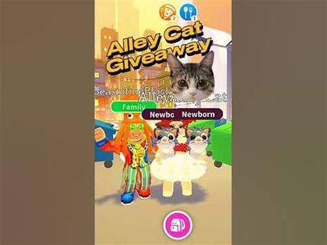 Apply to adopt an orphaned ALLEY CAT! 🐈🥺 ️ #roblox #shorts #adoptme ...