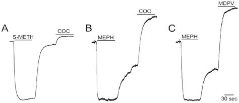 Mephedrone and methylenedioxypyrovalerone (MDPV), major constituents of ...