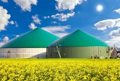 Various Advantages and Disadvantages of Biogas - Conserve Energy Future