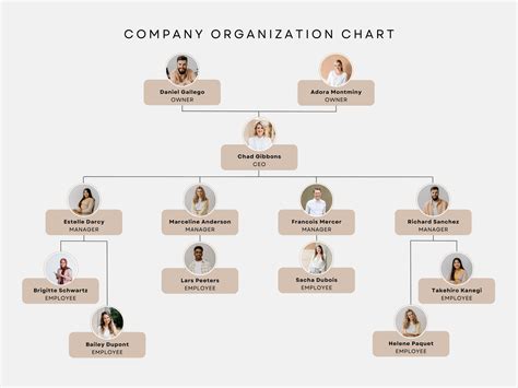 Organizational Chart Free Template