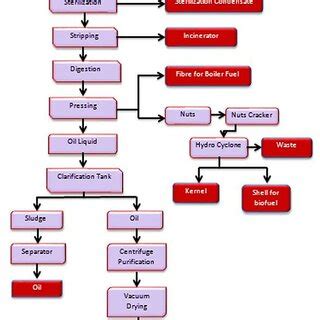 Process Flow of the Crude Palm Oil Production. | Download Scientific ...