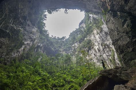 The world’s largest cave wasn’t found until 2009 & contains a jungle ...