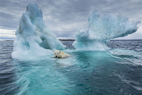 Arctic sea ice melting faster than forecast - CGTN