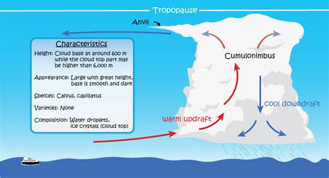 Cumulonimbus Clouds Diagram