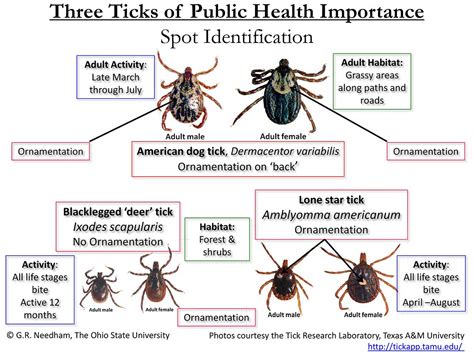 2017 Northeast Ohio Tick Epidemic | Portage Turf Specialists