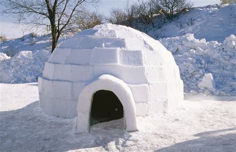 What is the most characteristic feature of igloos?