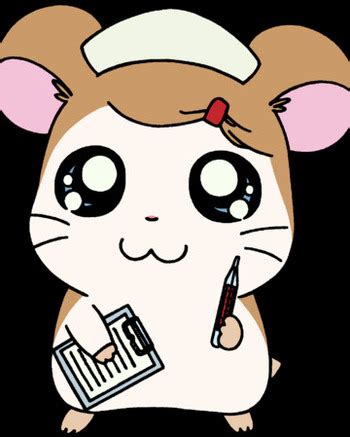 Hamtaro Characters Names And Pictures