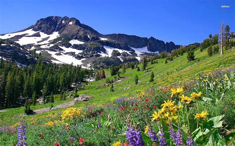 Mountain Spring Landscape HD desktop wallpaper Widescreen High ...