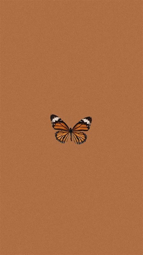 Aesthetic 🦋 | Phone wallpapers vintage, Iphone wallpaper vintage ...