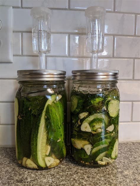 First pickle ferment, I'll post an update picture in a few days ...