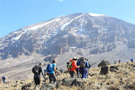 8 Days Mount Kilimanjaro Hiking Tour via Lemosho Route | Trip Ways