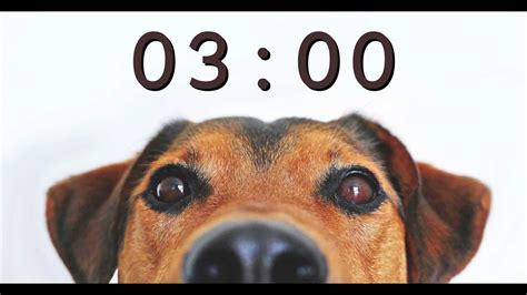 3 Minute Timer for School and Homework - Dog Bark Alarm Sound - YouTube