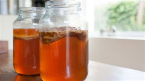 How To Make Scoby For Kombucha Tea At Home | Homemade Recipes