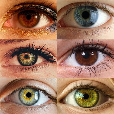 Eye Color Trivia – Oklahoma City OK | Vision Source OKC South