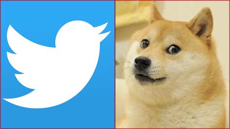 Twitter's Blue bird logo replaced by 'Doge' meme of Dogecoin blockchain ...