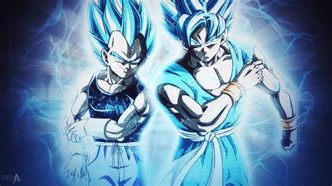 Goku and Vegeta Super Saiyan God Wallpapers - Top Free Goku and Vegeta ...