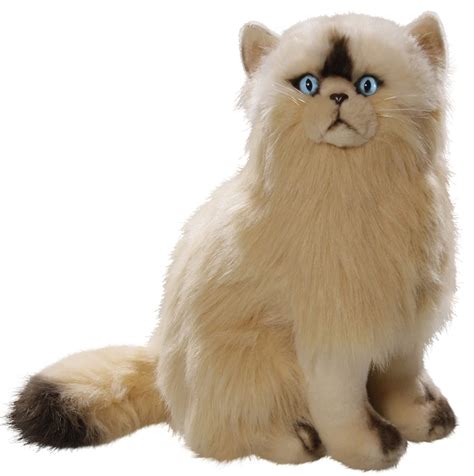 Buy Cat, Himalayan, Persian 14 inches, 35cm, Plush Toy, Soft Toy ...