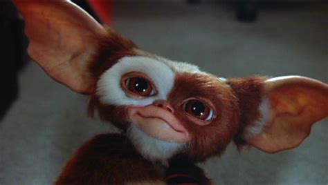 Gizmo - Gremlins Wiki