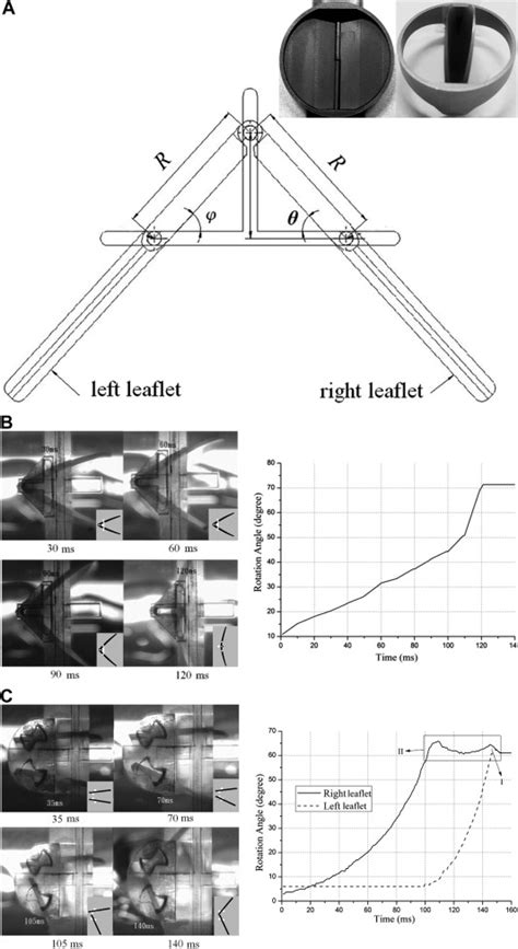 Decreased Hemolysis and Improved Hemodynamic Performance of ...