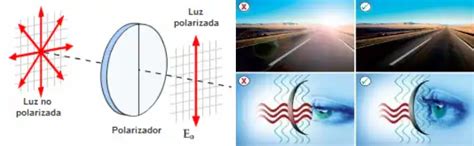 Cosas y casos con la luz polarizada | Ciencia Fácil - Blogs hoy.es