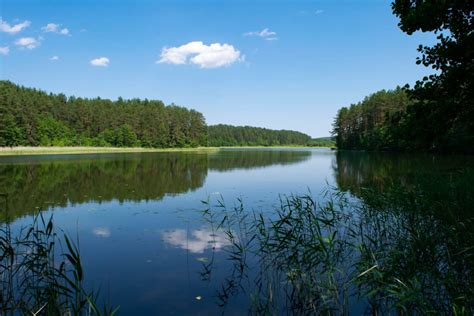 Why It's Great to Hike Aukštaitija National Park, Lithuania - Travelsewhere