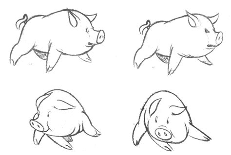 Animal Farm Pig Drawing