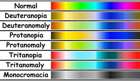 The Pride Flag According To Different Types Of Color Blindness | Images ...