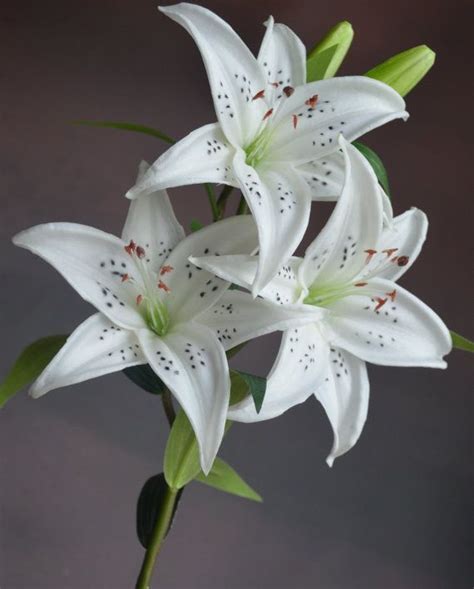 Natural Real Touch White Tiger Lily Long Stem for by DexinFloral Tiger ...