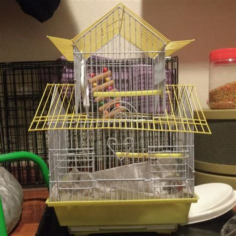 Pet Cage For Birds, Pet Supplies, Homes & Other Pet Accessories on ...